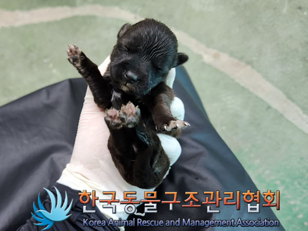 종료(자연사) 믹스…